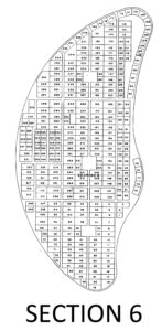 Section 6
