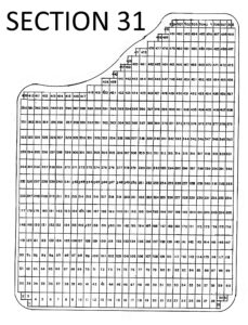 Section 31