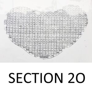 Section 20